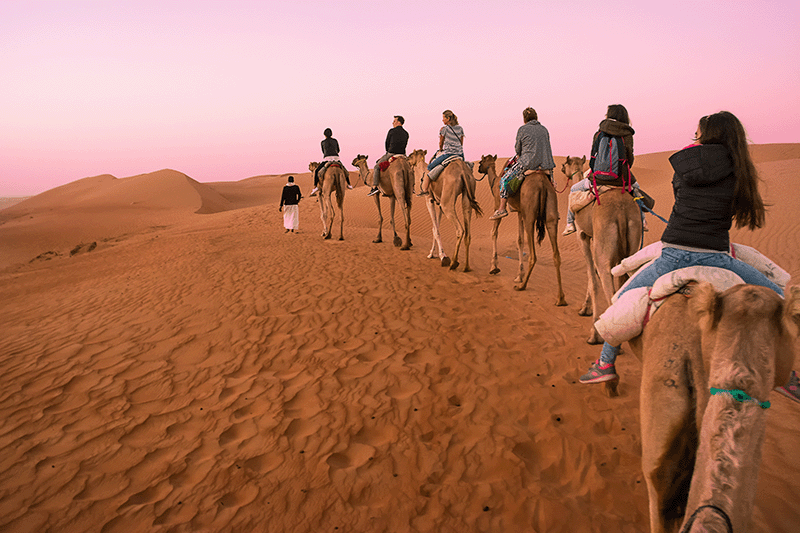 A camel caravan crossing the Wahiba Sands at dusk