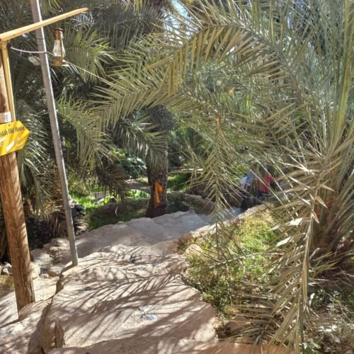 A shaded path beside palms in Misfat Al Abriyeen