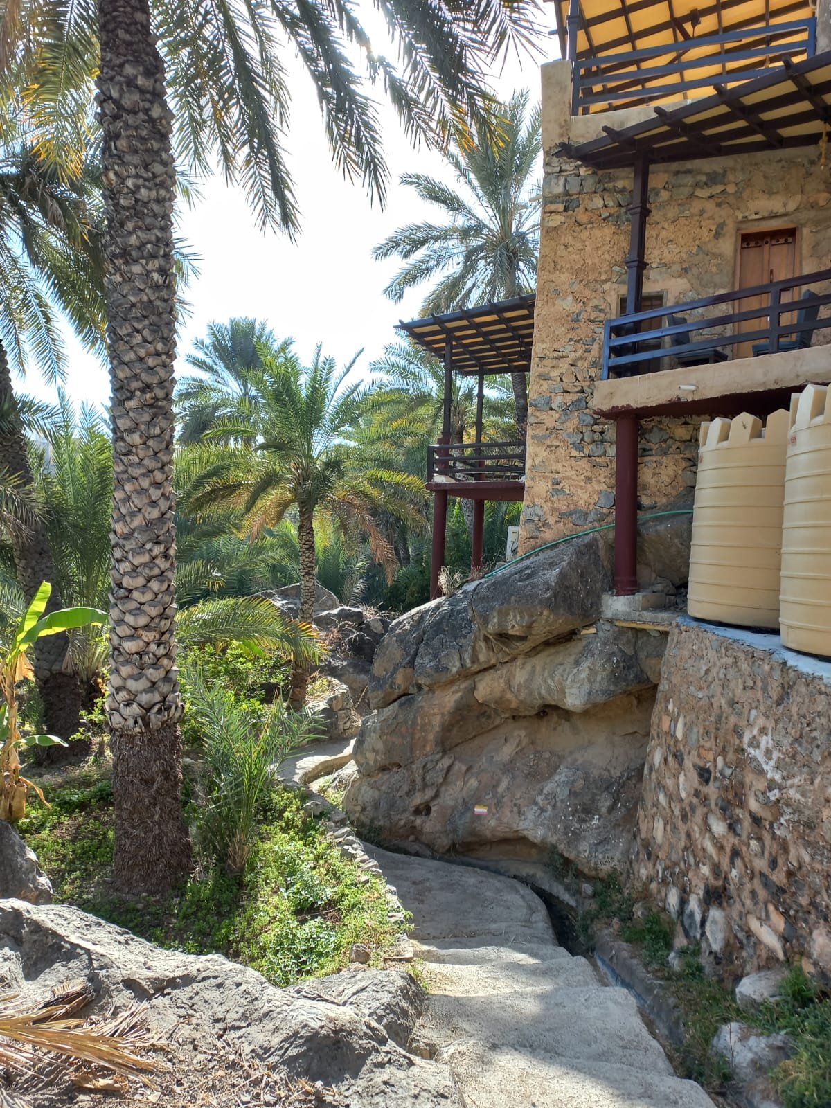 A stone house and palms in Misfat Al Abriyeen