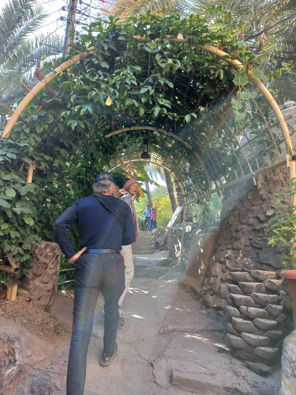 A path under a green archway in Misfat Al Abriyeen