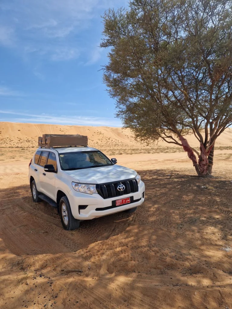 A white 4x4 parked in the shade of a tree on desert sand