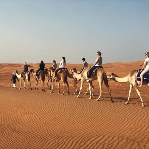 Riders on camels crossing the dunes of the Wahiba Sands