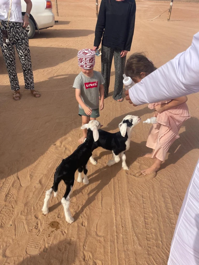 Children bottle-feeding baby goats at a desert camp