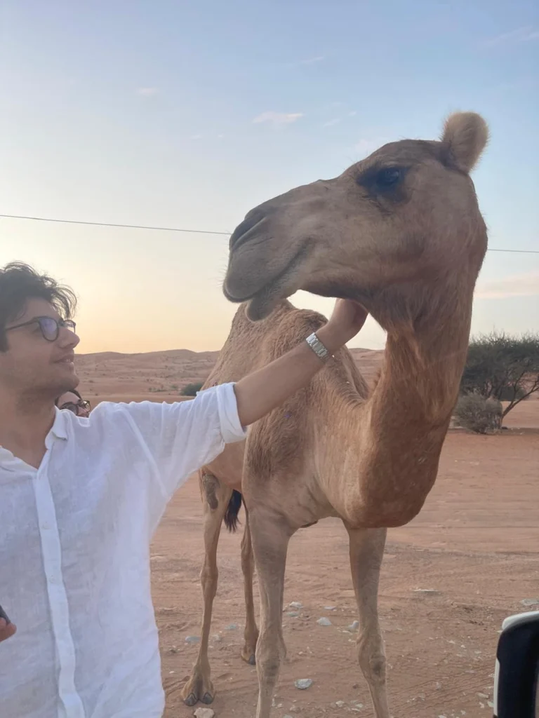 A guest stroking a camel in the desert at sunset