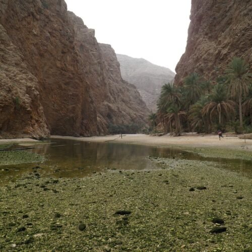 Green pools between high cliffs in a wadi